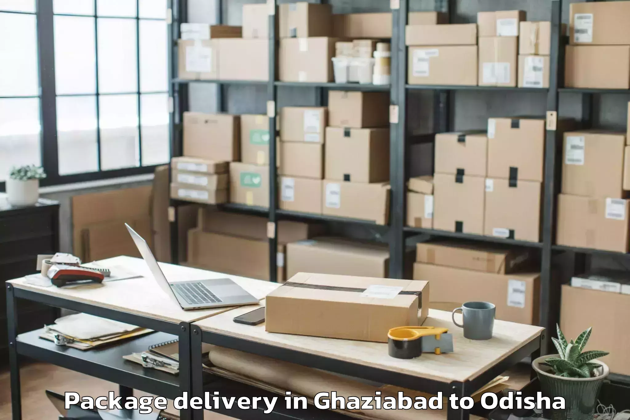 Professional Ghaziabad to Delang Package Delivery